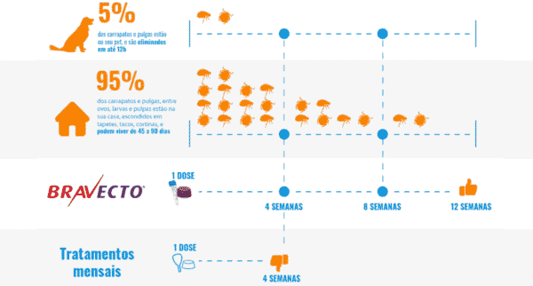 Antipulgas e Carrapatos Bravecto MSD para Caes de 10 a 20 kg infografico